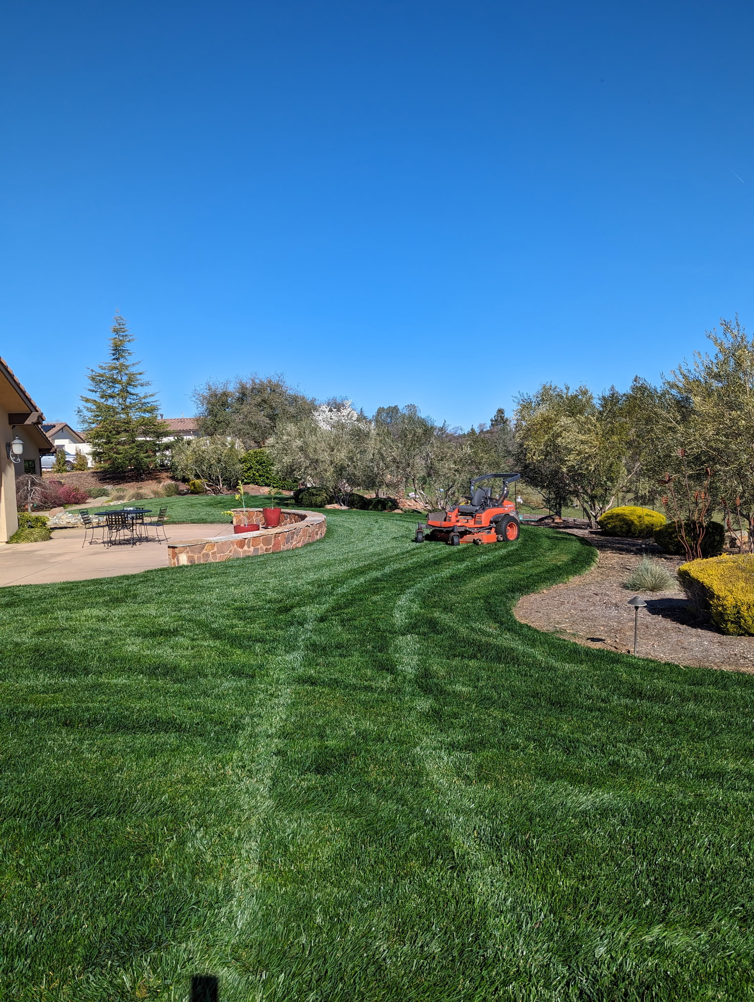 service single images