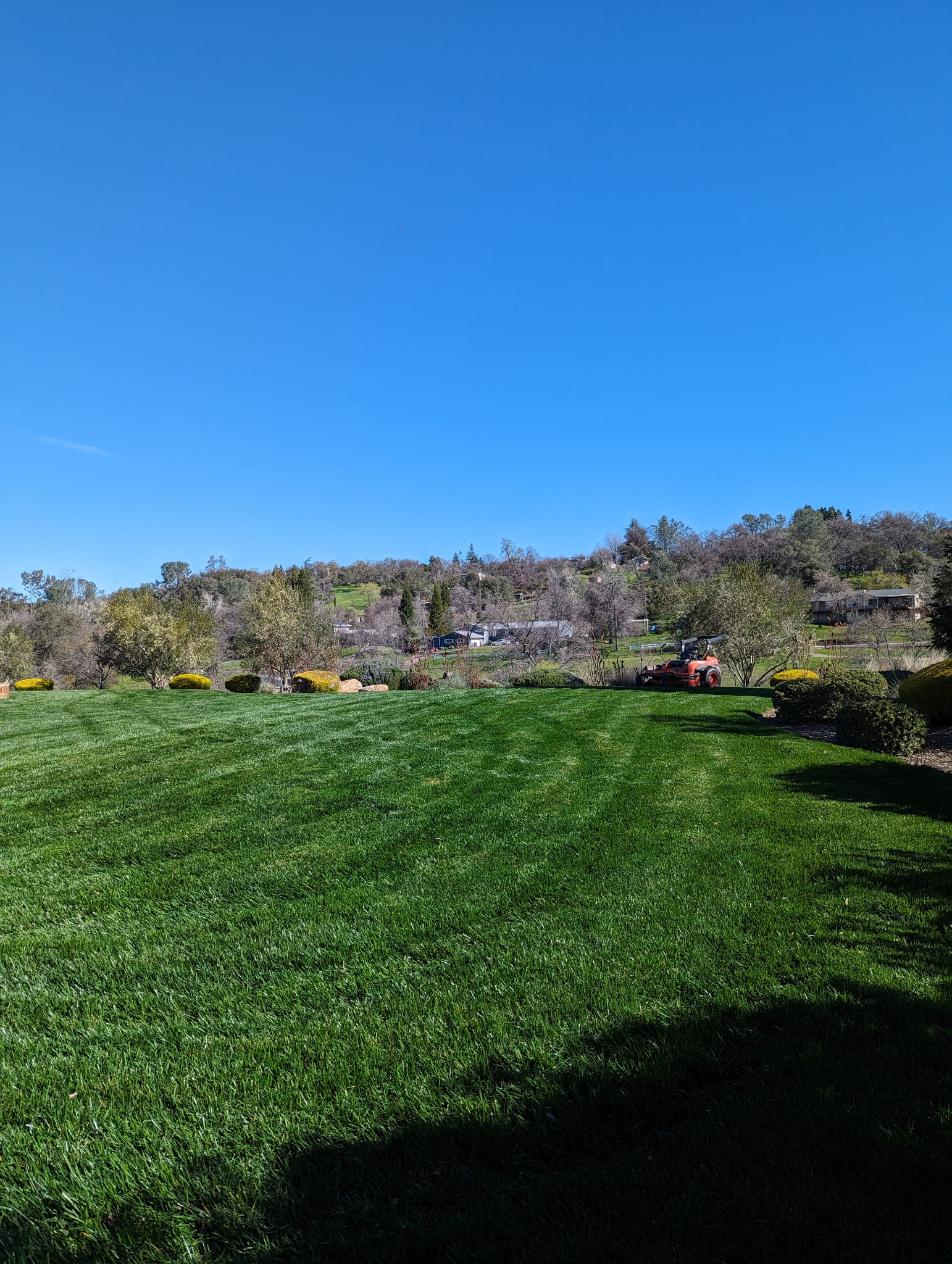 service single images