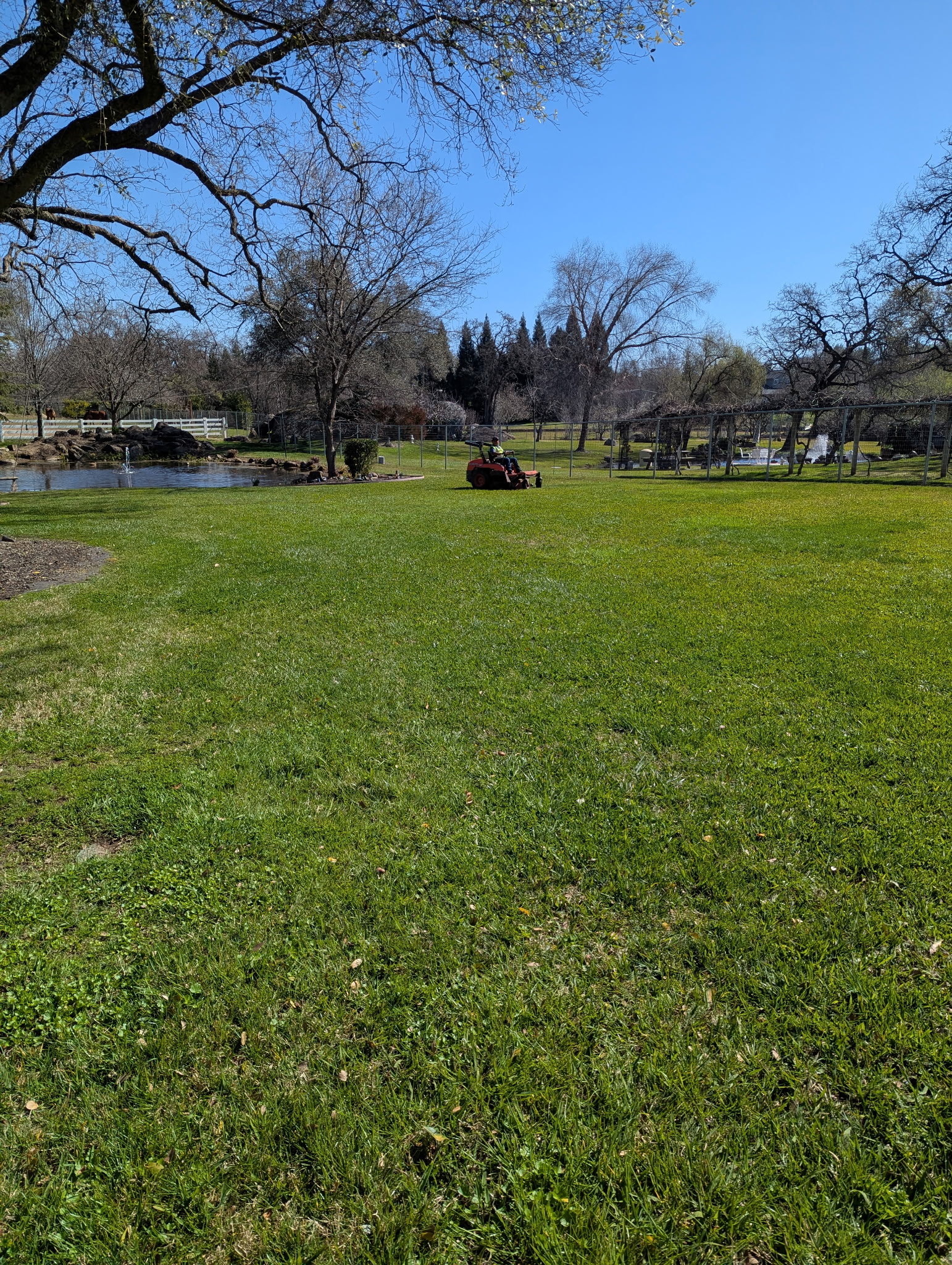 service single images