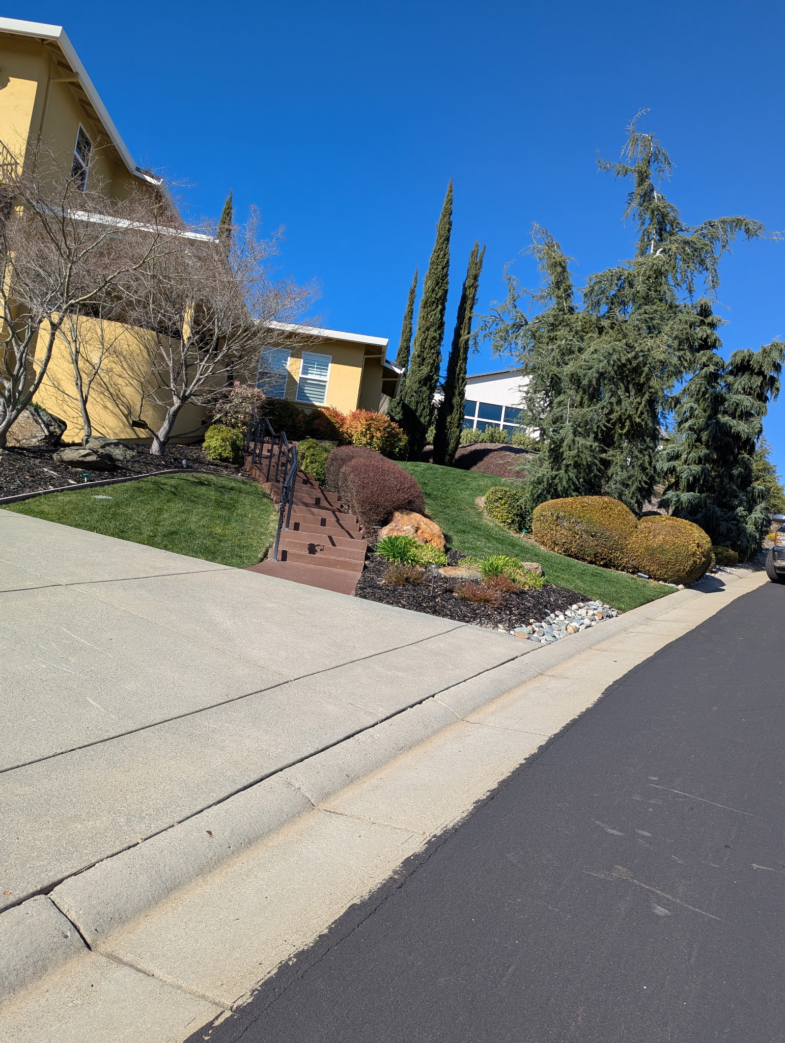 service single images